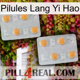 Lang Yi Hao Pills 25